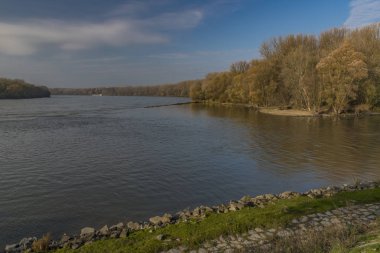 Dunaj ve Morava nehirlerinin izdiham