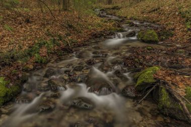 Spania Dolina Köyü yakınındaki Bansky creek