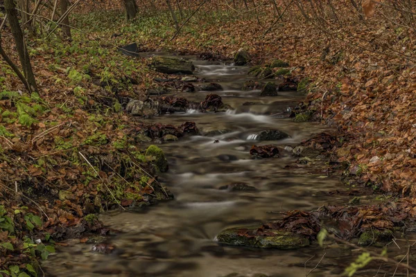 Bansky Bach im Herbst Morgen in der Nähe von Spania dolina — Stockfoto