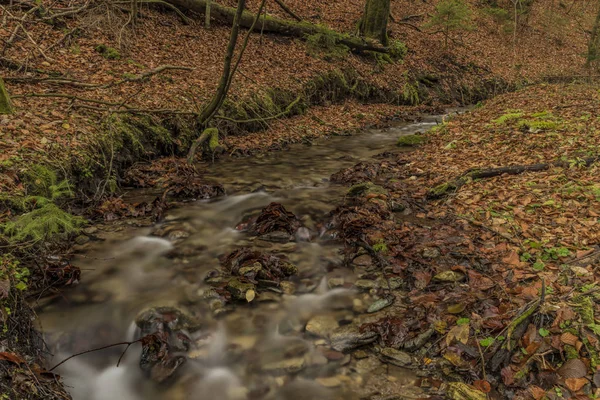 Nova creek w jesienny poranek w pobliżu Špania Dolina — Zdjęcie stockowe