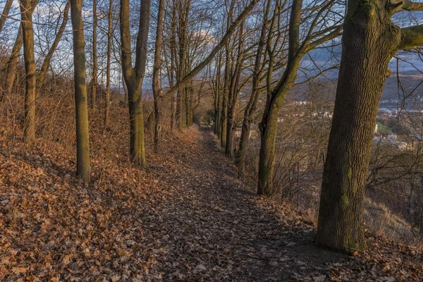 Chemin d'automne avec couleur depuis le coucher du soleil — Photo