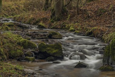 Carlsbad alanında Semnice Köyü yakınındaki Dubinsky creek