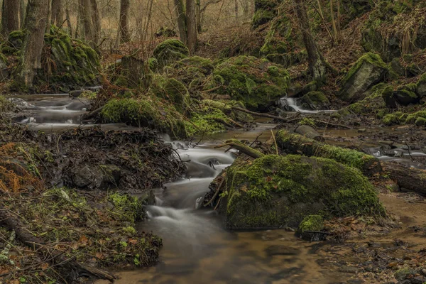 Dubinská creek poblíž vesnice Semnice v karlovarské oblasti — Stock fotografie