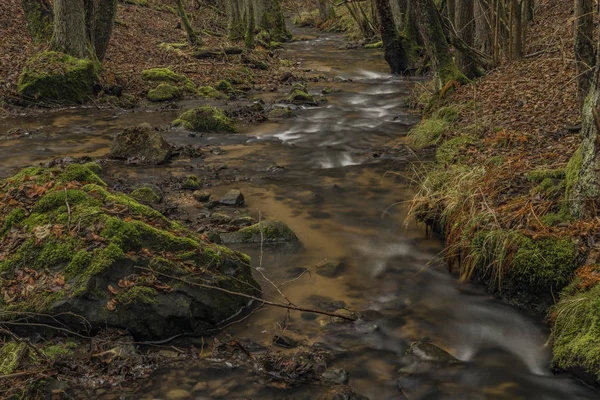 Carlsbad alanında Semnice Köyü yakınındaki Dubinsky creek