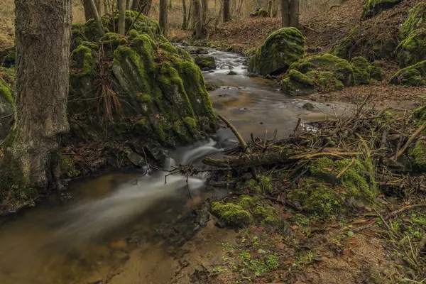 Dubinsky creek, w pobliżu wioski Semnice w okolicy Carlsbad — Zdjęcie stockowe