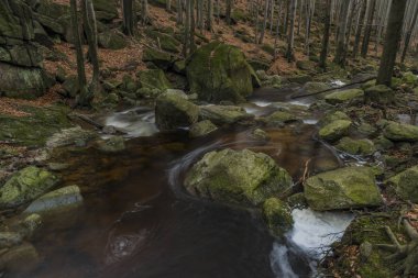Cerny creek karanlık sonbahar günü Jizerske dağlarında