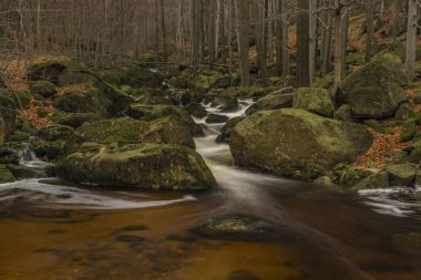 Cerny creek karanlık sonbahar günü Jizerske dağlarında