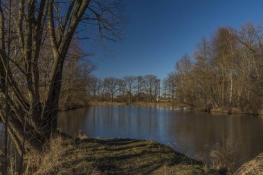 Malse Nehri yakınında Ceske Budejovice şehir