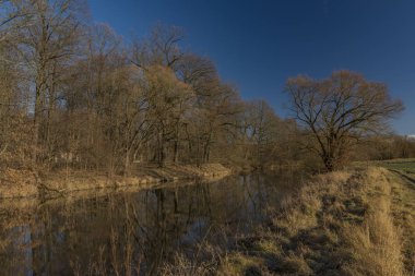 Malse Nehri yakınında Ceske Budejovice şehir