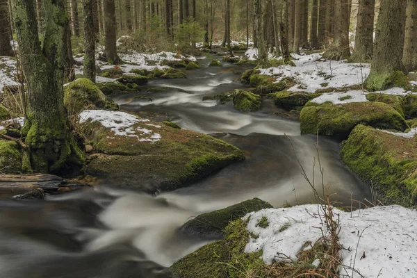 Mensi Rio Vltavice no dia de inverno de neve — Fotografia de Stock