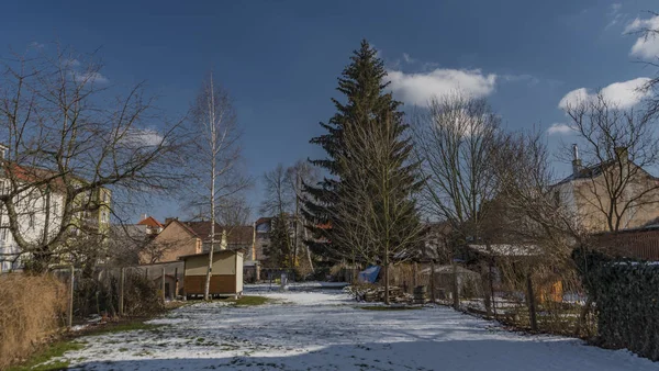 Сад в городе Ческе-Будеевице в зимний день — стоковое фото