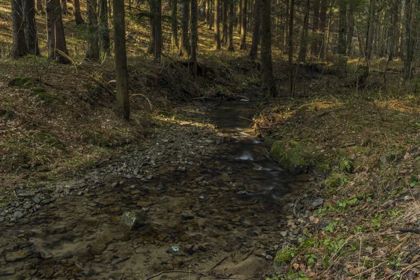 Pulcinsky creek w wiosenny poranek ładne — Zdjęcie stockowe