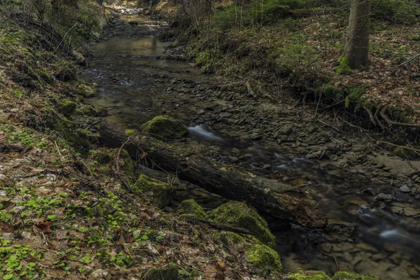 Pulcinsky creek w wiosenny poranek ładne — Zdjęcie stockowe