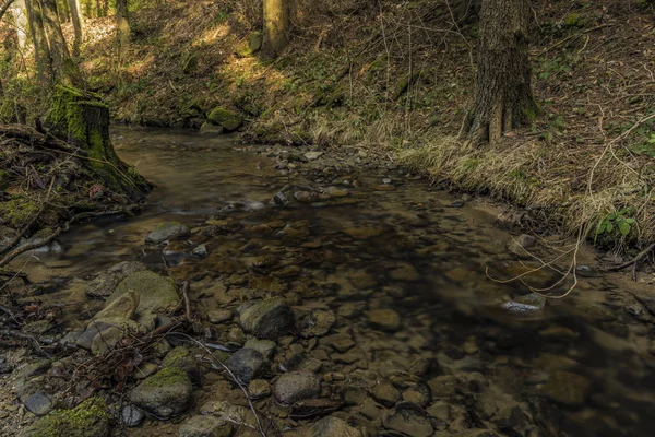 Pulcinsky riacho na primavera manhã agradável — Fotografia de Stock