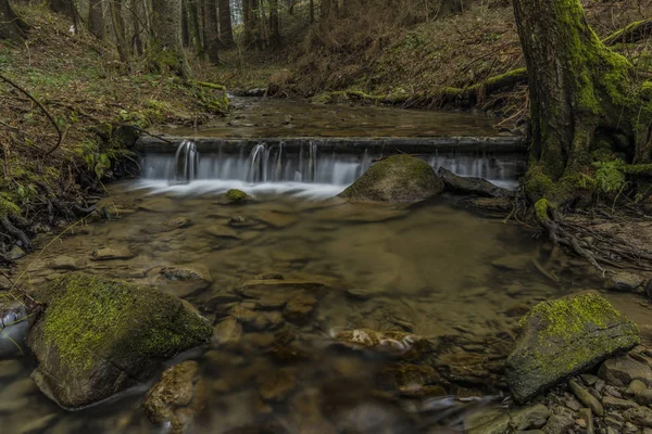 Pulcinsky creek in spring nice morning — Stock Photo, Image