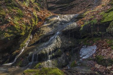 Pulcinsky şelale bahar güneşli gün