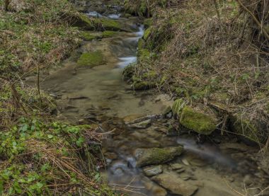 Pulcinsky creek bahar güzel sabah