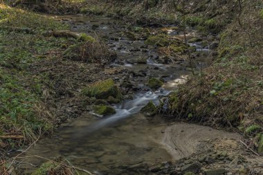 Pulcinsky creek bahar güzel sabah