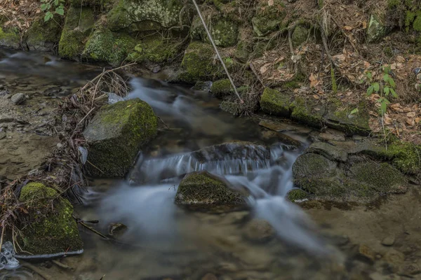 Pulcinsky Creek au printemps belle matinée — Photo
