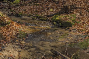 Pulcinsky creek bahar güzel sabah