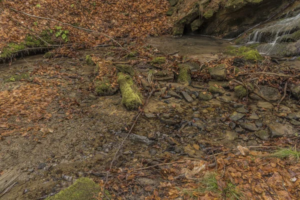 Pulcinsky creek in mooie lentemorgen — Stockfoto