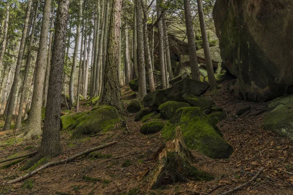 Bahar güzel günde Pulcin Köyü yakınındaki büyük yamaç