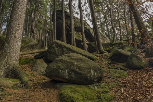 Bahar güzel günde Pulcin Köyü yakınındaki büyük yamaç