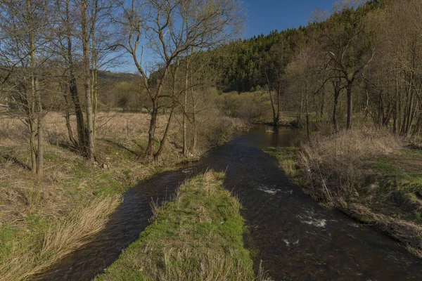 Tepla river in Teplicka village in spring morning — Stock Photo, Image
