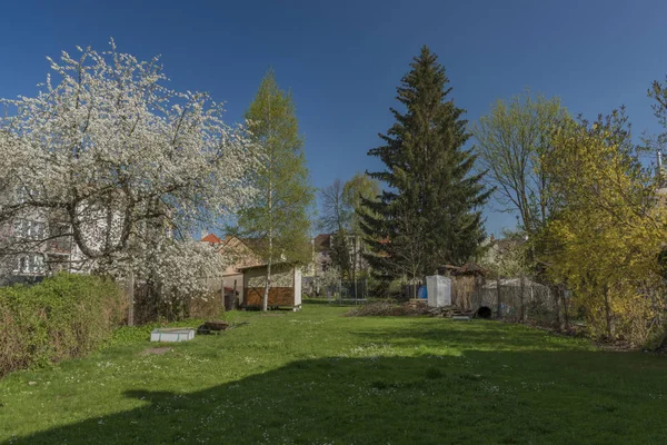 チェスケ ブデヨヴィツェ市春の庭 — ストック写真
