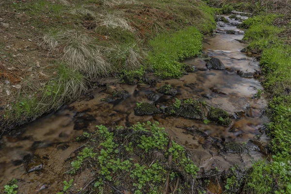 Pequeño arroyo de primavera cerca del pueblo de Teplicka — Foto de Stock