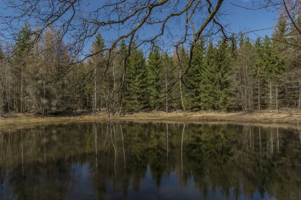 Teich im Wald in der Nähe von Karlsbad — Stockfoto