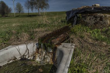 Temiz su ve banyo bahar çayır üzerinde kaynak