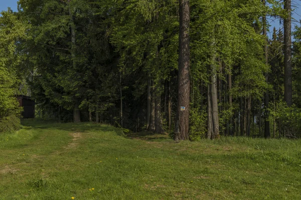 Łąka Pobliżu Haj Ase Hill Wiosenny Poranek Ładne — Zdjęcie stockowe