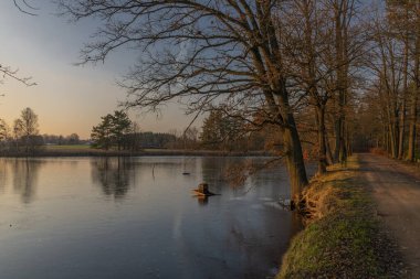 Rouda ve Olesnicky novy göleti kış akşamları gün batımında