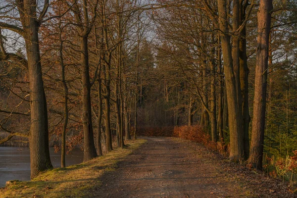 Caminho perto de Rouda e Olesnicky novy lagoa ao pôr do sol na noite de inverno — Fotografia de Stock