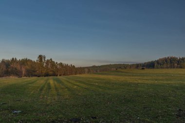 Güney Bohemya 'da yemyeşil çimlerle birlikte gün batımında otlak arazi