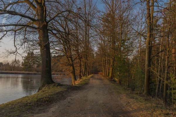 Stezka u Roudy a Olesnického rybníka v západu slunce v zimním večeru — Stock fotografie