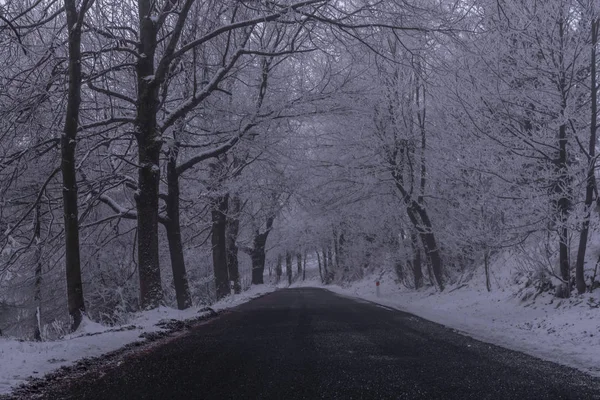 Winter morning with snowy road in dark forest in Krusne mountains — Stock Photo, Image