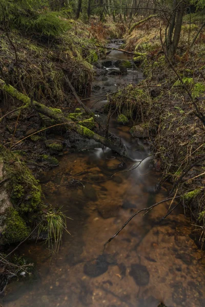 Övre vattendrag i Bilina floden i Krusne hory bergen på vinterdagen — Stockfoto