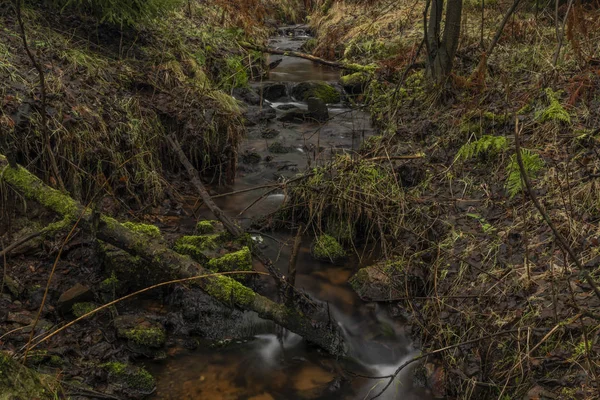 Верхній водний потік річки Біліна в горах Крусна в зимовий день. — стокове фото