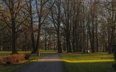 Güney Bohemya 'nın Budweis şehrindeki Stromovka Parkı' nda güneşli bir kış akşamı
