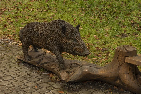Houten standbeeld van varken bij bank in Vimperk stad in Sumava nationaal park — Stockfoto