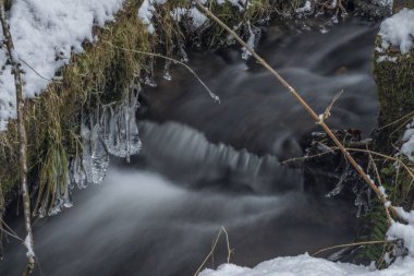 Hodslavsky deresi, Sumava Ulusal Parkı 'nda karlı kış gününde kar ve buzla kaplı.