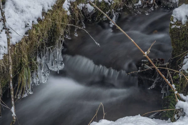 Hodslavsky creek with snow and ice in snowy winter day in Sumava national park — Stock Photo, Image