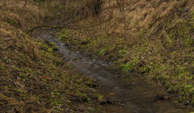 Zvikovsky creek with green grass and stones near Velesin town in south Bohemia