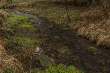 Zvikovsky creek with green grass and stones near Velesin town in south Bohemia