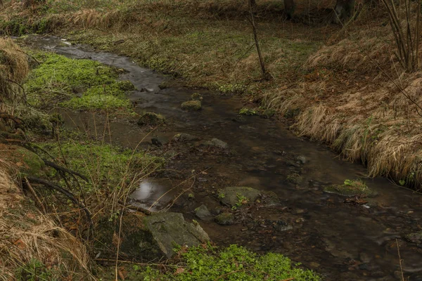 Zvikovsky creek with green grass and stones near Velesin town in south Bohemia — ストック写真