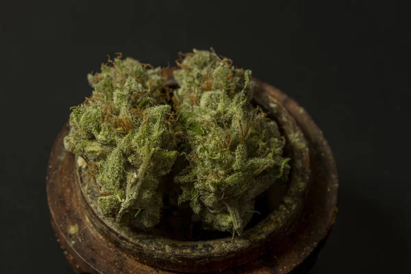 Suchý marihuanový květ zrajícího zeleného květu v dřevěné brusce s čerstvými listy — Stock fotografie