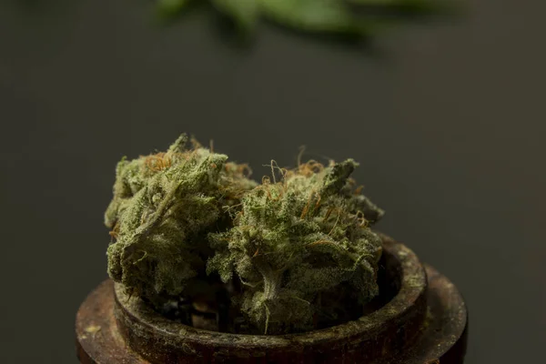Flor de marihuana seca de flor verde madura en amoladora de madera con hojas frescas —  Fotos de Stock
