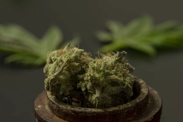 Dry Marijuana Bloom Ripened Green Flower Wooden Grinder Black Background — Stock Photo, Image